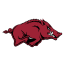 ARKANSAS logo