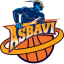 ASBAVI logo