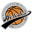 AVTODOR SHIVS logo