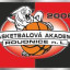 BA 2006 ROUDNICE logo