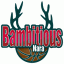 BAMBITIOUS NARA logo