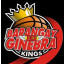 BARANGAY GINEBRA KINGS logo