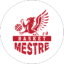BASKET MESTRE logo