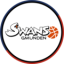 BASKET SWANS GMUNDEN logo