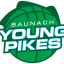 BAUNACH YOUNG PIKES logo