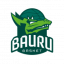 BAURU BASKET logo