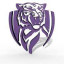 BC MEGYERI TIGERS logo