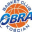BC OBRA logo