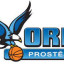 BCM ORLI PROSTEJOV logo