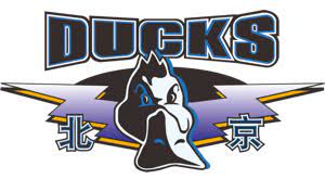 BEIJING SHOUGANG Logo