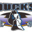 BEIJING SHOUGANG logo