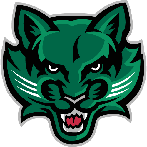 BINGHAMTON Logo