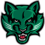 BINGHAMTON logo