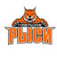 BK GOCOR-SOZH GOMEL logo