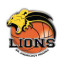 BK LIONS JINDRICHUV HRADEC logo