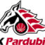BK PARDUBICE logo