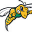 BLACK HILLS STATE logo