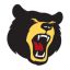 BLOOMFIELD logo