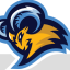 BLUE MOUNTAIN logo