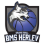 BMS HERLEV BASKETBALL logo