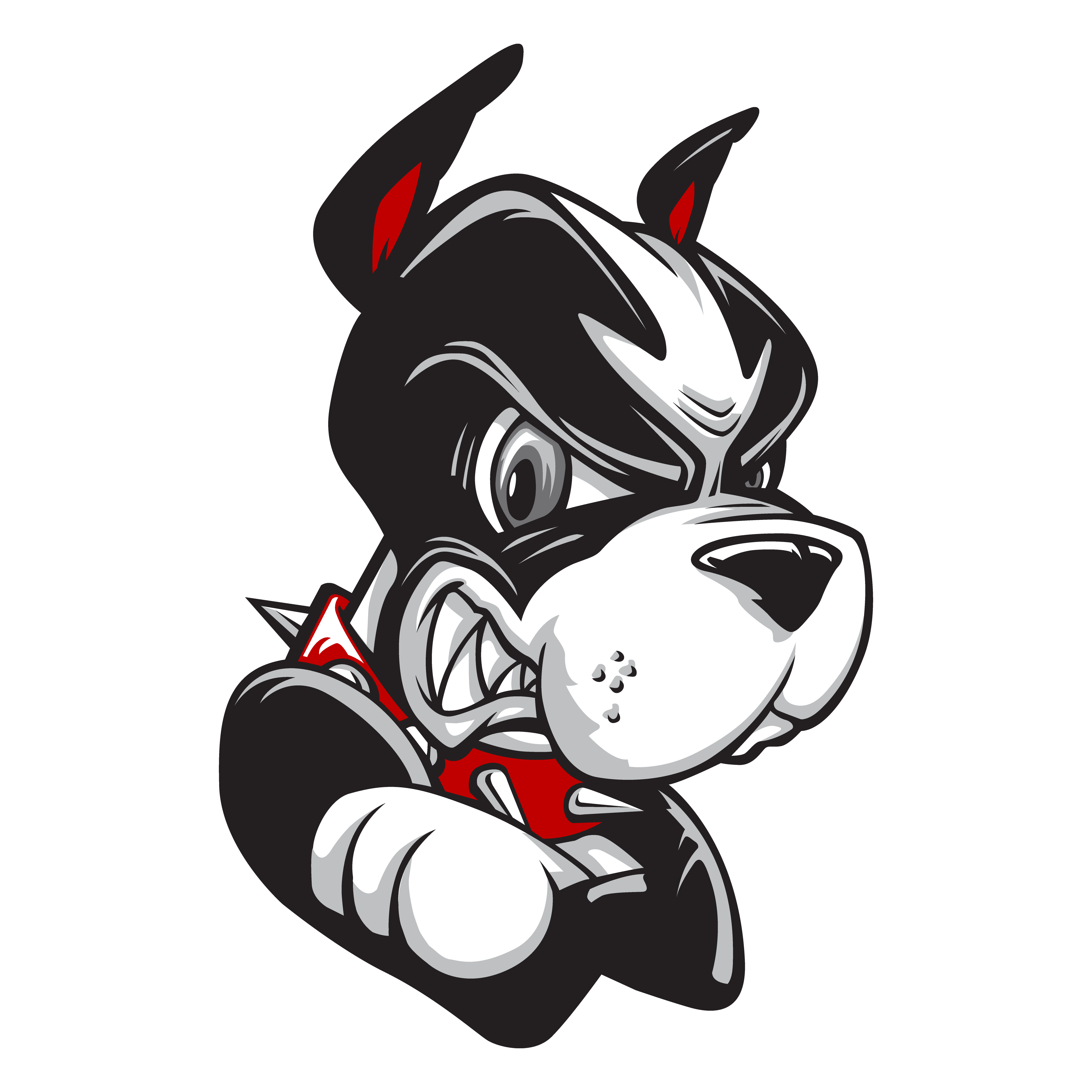 BOSTON UNIVERSITY Logo