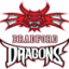 BRADFORD DRAGONS logo