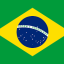 BRAZIL logo