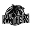 BRENT PANTHERS logo