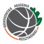 BRWINOWSKA AKADEMIA KOSZYKOWKI logo
