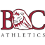 BRYAN TENN logo