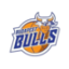 BUDAPEST BULLS logo