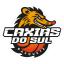 CAIXIAS DO SUL logo