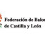 CASTILLA Y LEON logo