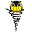 CE BASQUET LLIRIA logo