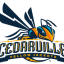 CEDARVILLE logo