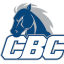 CENTRAL BAPTIST logo