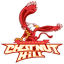 CHESTNUT HILL logo