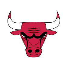 CHICAGO BULLS Logo