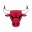 CHICAGO BULLS logo