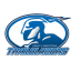 CINCINNATI CHRISTIAN logo