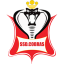 COBRA SPORTS CLUB logo