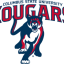 COLUMBUS STATE logo