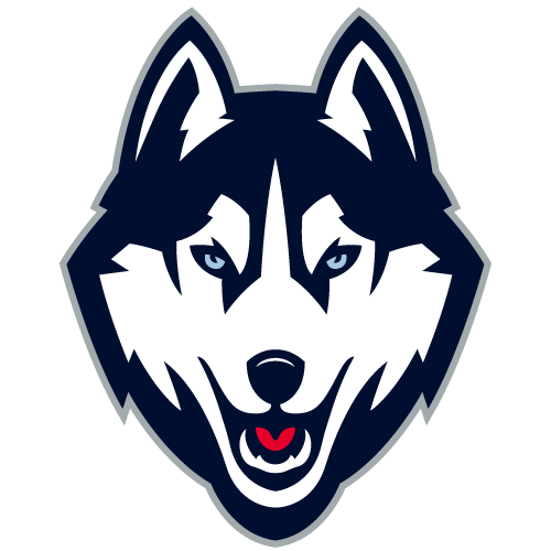 CONNECTICUT Logo
