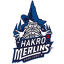 CRAILSHEIM MERLINS logo