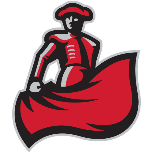 CSU NORTHRIDGE Logo