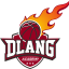 D LANG ACADEMY logo