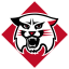 DAVIDSON logo