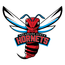 DELAWARE STATE Logo