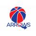 DERBYSHIRE ARROWS Logo