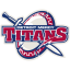DETROIT MERCY logo